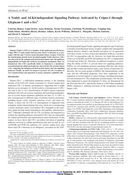 A Nodal- and ALK4-Independent Signaling Pathway Activated by Cripto-1 Through Glypican-1 and C-Src1