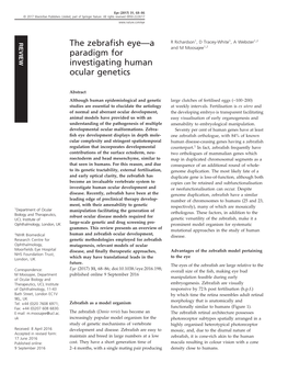 The Zebrafish Eye—A Paradigm for Investigating Human Ocular Genetics