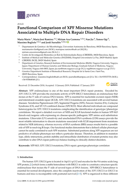 Functional Comparison of XPF Missense Mutations Associated to Multiple DNA Repair Disorders