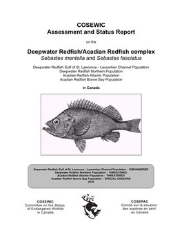 Deepwater Redfish/Acadian Redfish Complex Sebastes Mentella and Sebastes Fasciatus