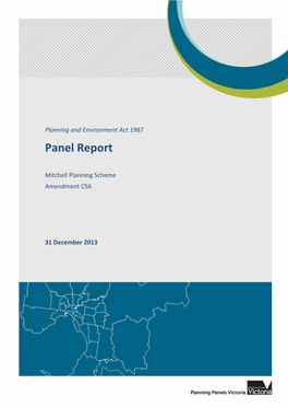 Panel Report