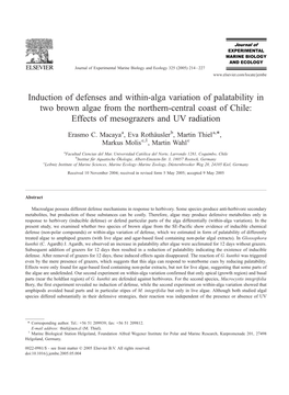 Effects of Mesograzers and UV Radiation