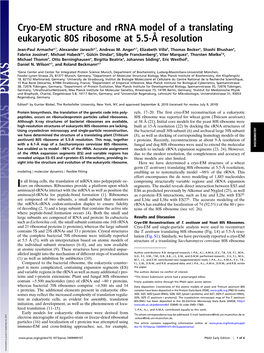 Cryo-EM Structure and Rrna Model of a Translating Eukaryotic 80S Ribosome at 5.5-Å Resolution