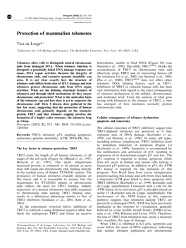 Protection of Mammalian Telomeres