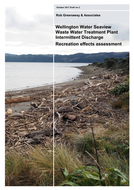 Wellington Water Seaview Waste Water Treatment Plant Intermittent Discharge Recreation Effects Assessment