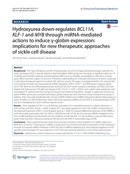 Hydroxyurea Down-Regulates BCL11A, KLF-1 and MYB Through Mirna