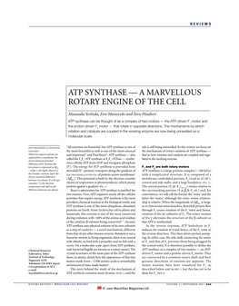 Atp Synthase — a Marvellous Rotary Engine of the Cell