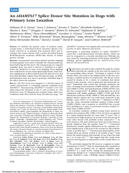 An ADAMTS17 Splice Donor Site Mutation in Dogs with Primary Lens Luxation