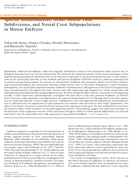 Cadherin-6 Expression Transiently Delineates Specific Rhombomeres, Other Neural Tube Subdivisions, and Neural Crest Subpopulatio