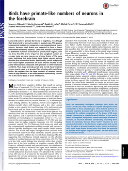 Birds Have Primate-Like Numbers of Neurons in the Forebrain
