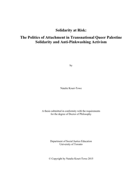 Solidarity at Risk: the Politics of Attachment in Transnational Queer Palestine Solidarity and Anti-Pinkwashing Activism