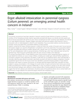 Ergot Alkaloid Intoxication in Perennial Ryegrass (Lolium Perenne)