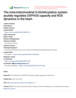 The Intra-Mitochondrial O-Glcnacylation System Acutely Regulates OXPHOS Capacity and ROS Dynamics in the Heart