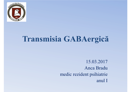 Transmisia Gabaergică