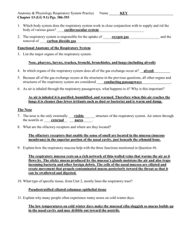 Anatomy & Physiology Respiratory System Practice Name
