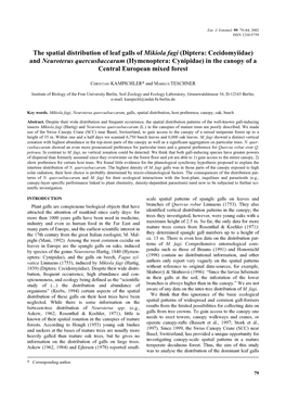 The Spatial Distribution of Leaf Galls of Mikiola Fagi