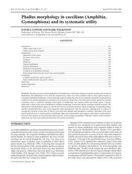 Phallus Morphology in Caecilians (Amphibia, Gymnophiona) and Its Systematic Utility