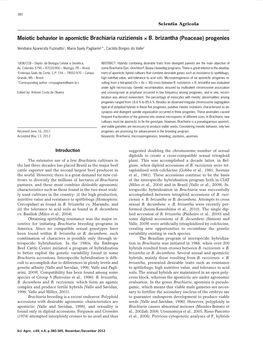 Meiotic Behavior in Apomictic Brachiaria Ruziziensis × B. Brizantha (Poaceae) Progenies