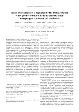 Fascin Overexpression Is Regulated by the Transactivation of the Promoter but Not by Its Hypomethylation in Esophageal Squamous Cell Carcinoma