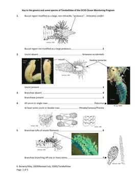 Key to Genera of Terebellidae