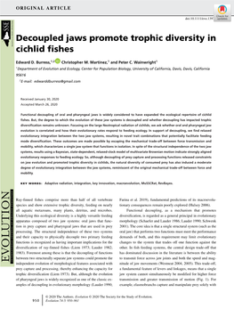 Decoupled Jaws Promote Trophic Diversity in Cichlid Fishes