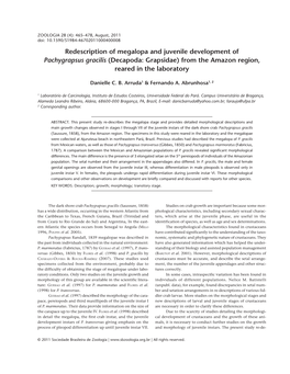 Redescription of Megalopa and Juvenile Development of Pachygrapsus Gracilis (Decapoda: Grapsidae) from the Amazon Region, Reared in the Laboratory