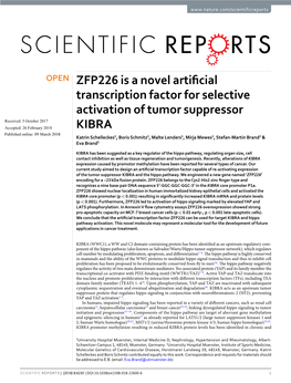 ZFP226 Is a Novel Artificial Transcription Factor for Selective