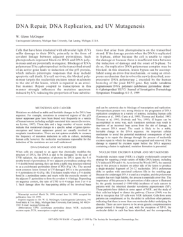 DNA Repair, DNA Replication, and UV Mutagenesis