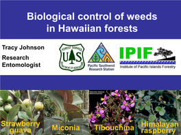 Hawaiian Forests