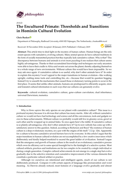Thresholds and Transitions in Hominin Cultural Evolution