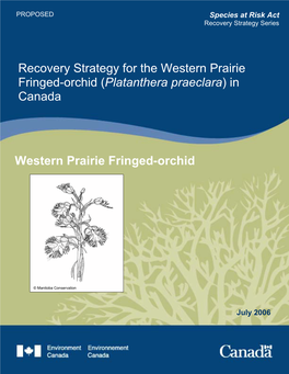 Western Prairie Fringed-Orchid (Platanthera Praeclara) in Canada