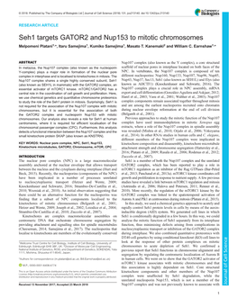 Seh1 Targets GATOR2 and Nup153 to Mitotic Chromosomes Melpomeni Platani1,*, Itaru Samejima1, Kumiko Samejima1, Masato T