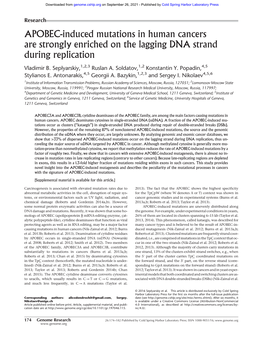 APOBEC-Induced Mutations in Human Cancers Are Strongly Enriched on the Lagging DNA Strand During Replication