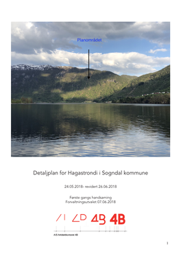 Detaljplan for Hagastrondi I Sogndal Kommune