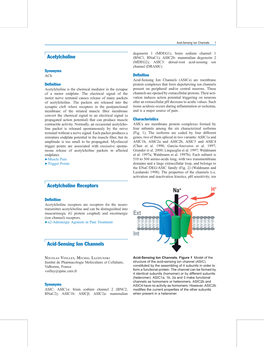 Acetylcholine Acetylcholine Receptors Acid-Sensing Ion Channels