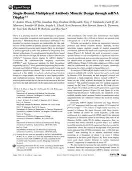 Single-Round, Multiplexed Antibody Mimetic Design Through Mrna Display** C