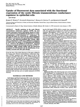 Uptake of Fluorescent Dyes Associated with the Functional Expression of The