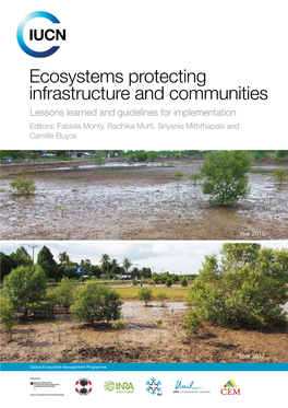 Ecosystems Protecting Infrastructure and Communities