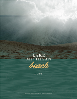 LAKE MICHIGAN Beach GUIDE