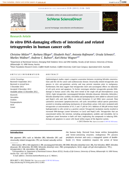 In Vitro DNA-Damaging Effects of Intestinal and Related Tetrapyrroles in Human Cancer Cells