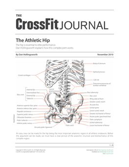 Hip Extension Is Limited Movement Through These Segments in Order to Reach the by Tension in the Rectus Femoris Muscle of the Quadriceps End Ranges of Motion