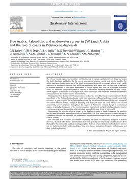 Palaeolithic and Underwater Survey in SW Saudi Arabia and the Role of Coasts in Pleistocene Dispersals