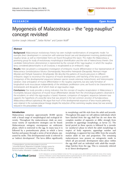 Myogenesis of Malacostraca – the “Egg-Nauplius” Concept Revisited Günther Joseph Jirikowski1*, Stefan Richter1 and Carsten Wolff2