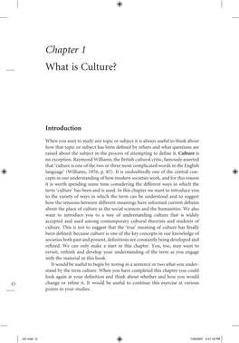 Chapter 1 What Is Culture?