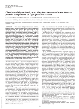 Claudin Multigene Family Encoding Four-Transmembrane Domain Protein Components of Tight Junction Strands