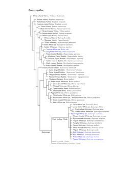 Zosteropidae Species Tree