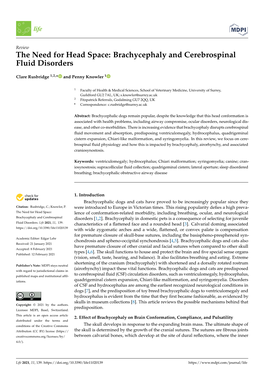 Brachycephaly and Cerebrospinal Fluid Disorders