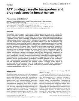 ATP Binding Cassette Transporters and Drug Resistance in Breast Cancer