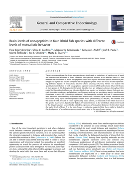 Brain Levels of Nonapeptides in Four Labrid Fish Species with Different