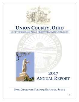 Union County, Ohio Annual Report